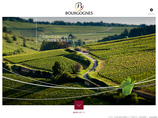 ブルゴーニュ Bourgogneワインの発見