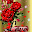 Yellow Butterfly Red Rose Live Download on Windows