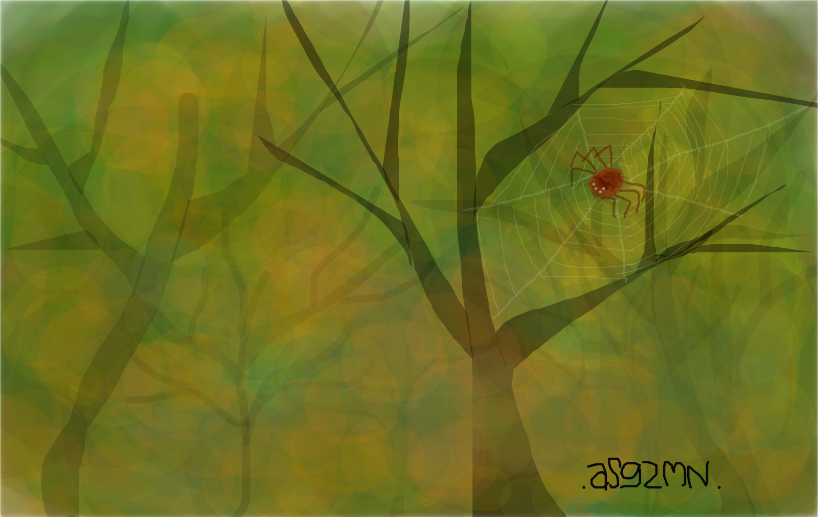 Hidden Spider Drawings SketchPort