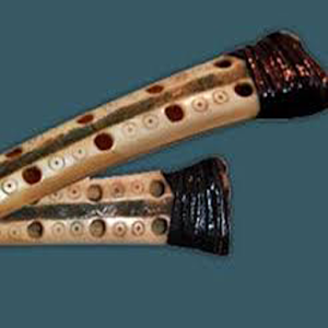 Real Kurdi Musical Instrument.apk 2.9