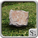 Sim Stone logo
