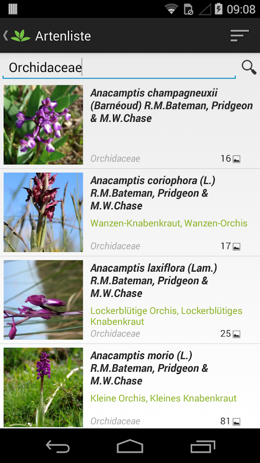 Pflanzenbestimmung AndroidApps auf Google Play