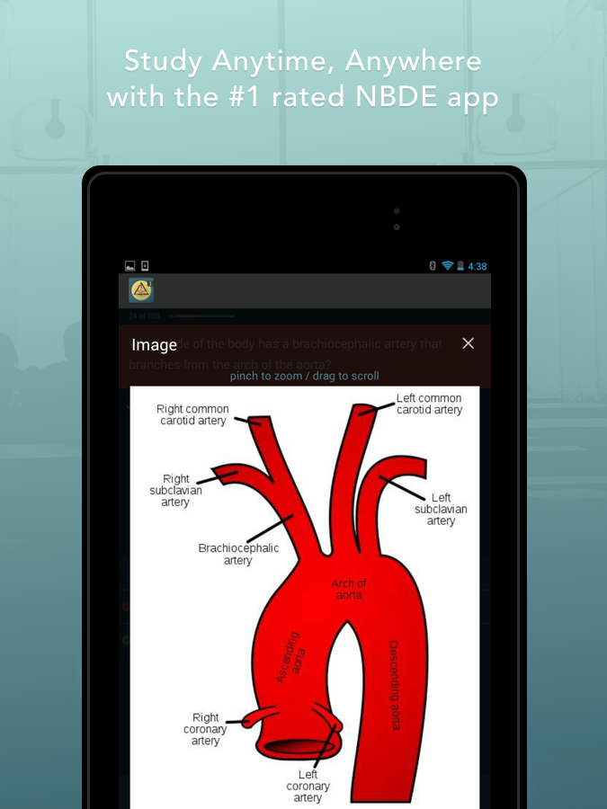 Dental Boards Mastery NBDE I Android Apps on Google Play