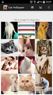 How to download Cat Wallpaper lastet apk for android