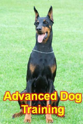 【免費教育App】Advanced Dog Training-APP點子