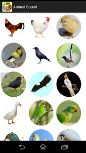 How to download Animal Sound 1.0 apk for laptop