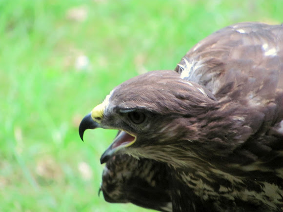 Trips Archives Photologistics