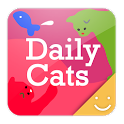 Daily Cats Theme icon