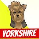 Yorkshire Terrier Dogs mobile app icon