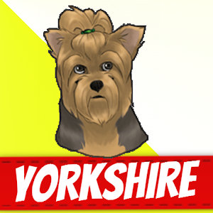 Yorkshire Terrier Dogs.apk 1.00