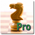 Chess Time Pro logo
