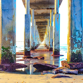 by Roman Gomez - Instagram & Mobile Instagram