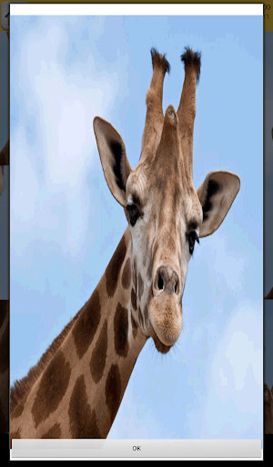 Giraffes Games