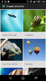 Support library Samples Screenshots 1
