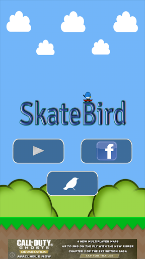 SkateBird