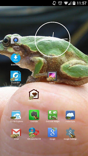 Frogs Icon Theme