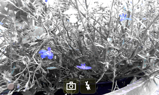 How to mod Blue Isolation Camera lastet apk for bluestacks