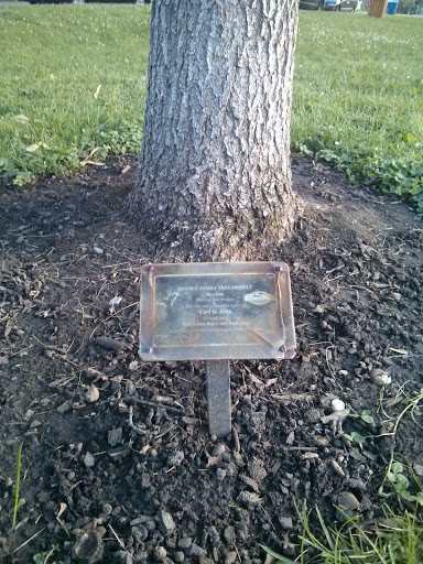 Carl King Memorial Tree