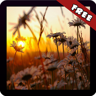Free Sun Rise Wallpaper APK