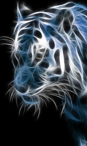 Tigers HD Wallpaper