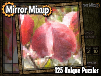 Mirror Mixup poster 11