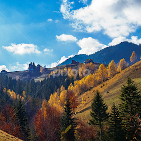by Nedelcu Valeriu - Uncategorized All Uncategorized