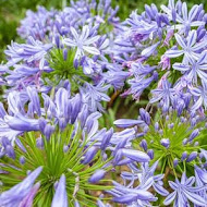 沐心泉休閒農場