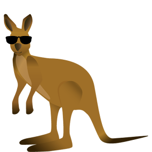 Kanga Jump 