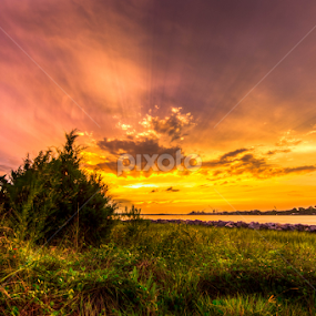 natural fireworks by Mike Pedigo - Landscapes Sunsets & Sunrises