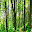 Locations Global Forest Change Download on Windows