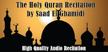 Audio Quran by Saad El Ghamidi APK