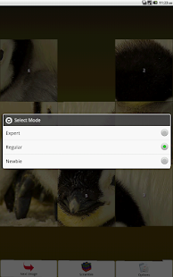 Penguin Puzzle Screenshots 3