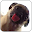Dog Licker Live Wallpaper LWP Download on Windows