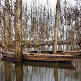 Spate II by Paulo Veiga - Landscapes Weather