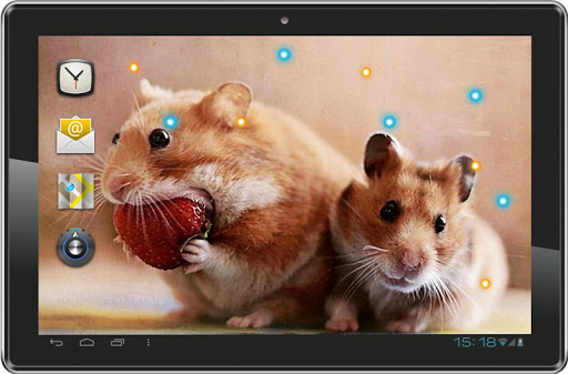 【免費個人化App】Hamsters Funny live wallpaper-APP點子