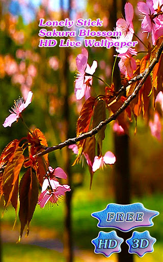 3D Sakura Blossom Stick Free
