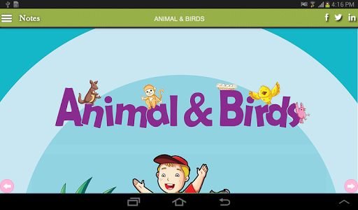 Animal and Birds