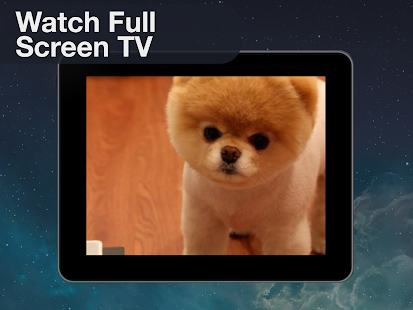 Endless Pets: Watch TV