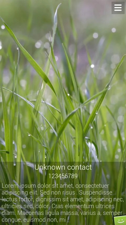 Full Screen Caller ID PRO - screenshot