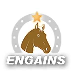 Afficher l'image d'origine