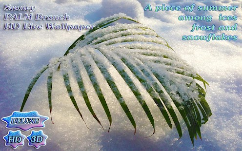 Snowy Christmas Tender Palm - náhled