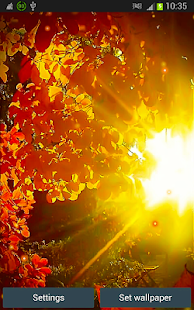 Autumn Full HD Wallpapers Screenshots 1