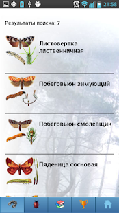 EcoGuide: Forest Insect Pests Screen 3