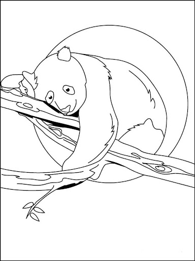 【免費教育App】Panda Coloring Book-APP點子