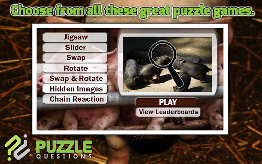 Pig Puzzle Games