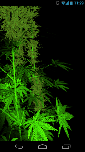 Weed 3D Live Wallpaper