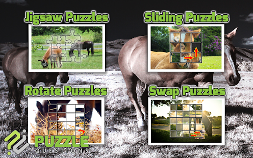 Horse Puzzles Screenshots 10