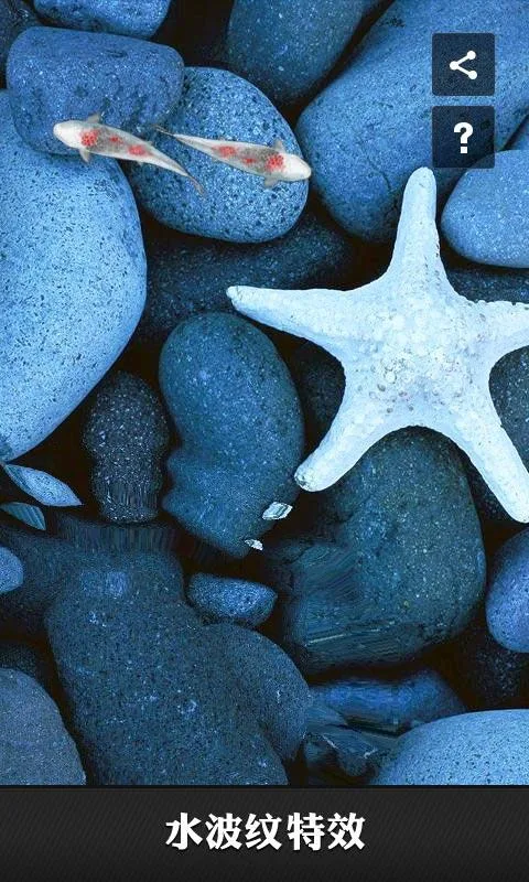 安卓动态壁纸 - screenshot