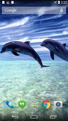 Magic Dolphins Live Wallpaper