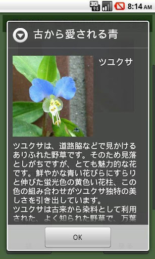 【免費教育App】身近な野草がすぐわかる-APP點子